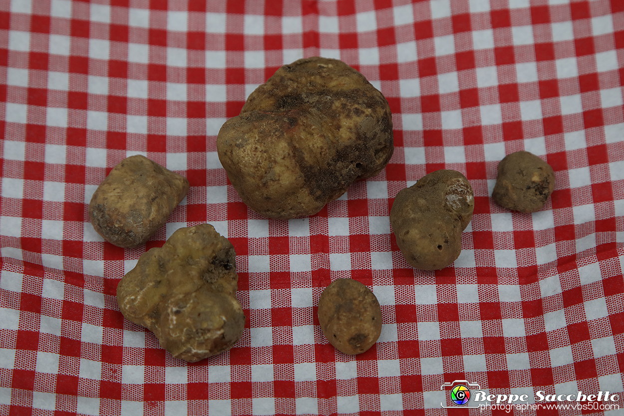 VBS_6524 - Fiera dei Santi - 12.ma Fiera Nazionale del Tartufo.jpg